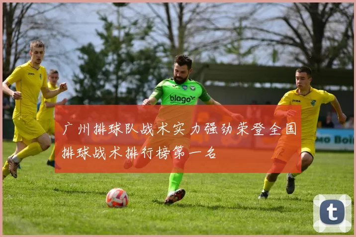 广州排球队战术实力强劲荣登全国排球战术排行榜第一名