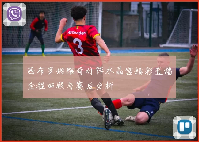 西布罗姆维奇对阵水晶宫精彩直播全程回顾与赛后分析