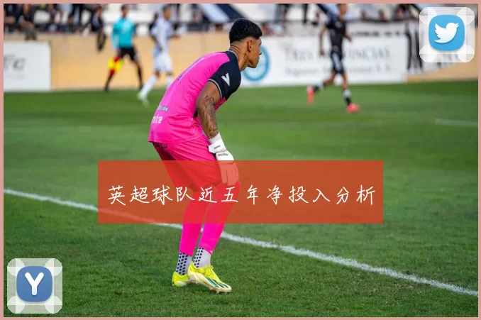英超球队近五年净投入分析