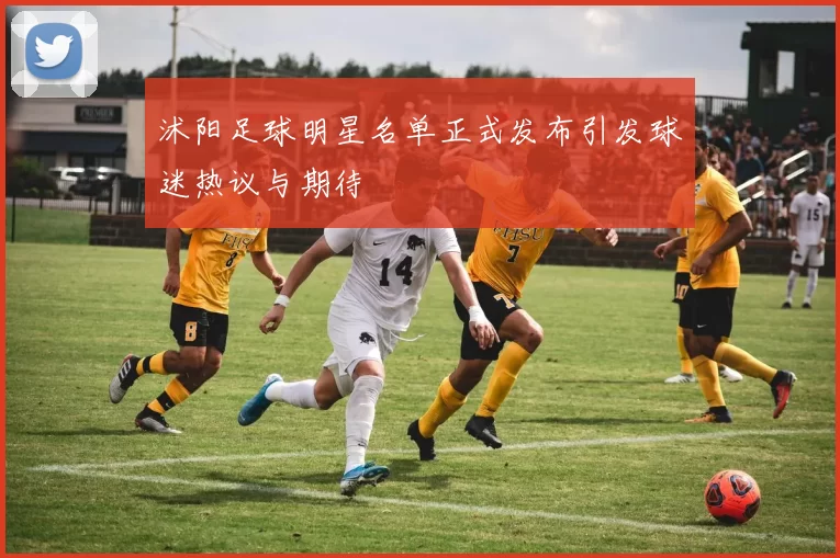 沭阳足球明星名单正式发布引发球迷热议与期待