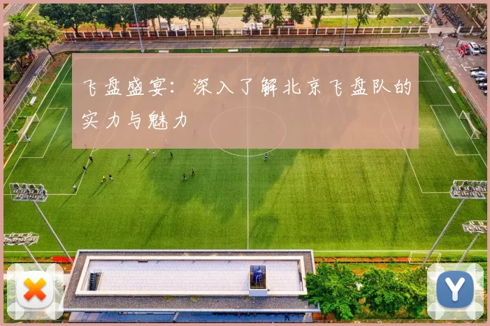 飞盘盛宴：深入了解北京飞盘队的实力与魅力