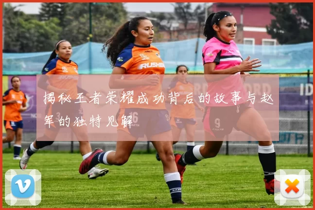 揭秘王者荣耀成功背后的故事与赵军的独特见解