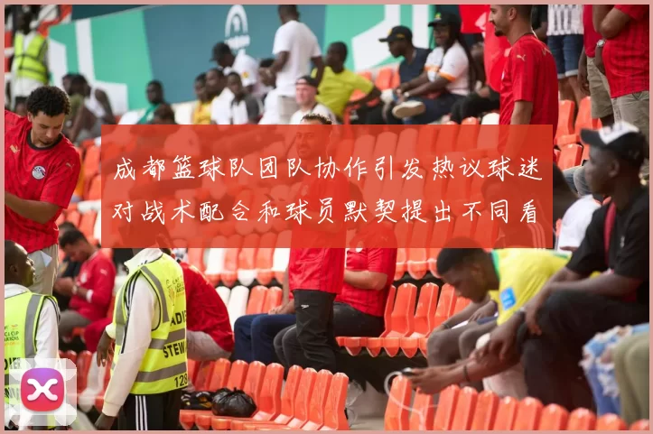 成都篮球队团队协作引发热议球迷对战术配合和球员默契提出不同看法