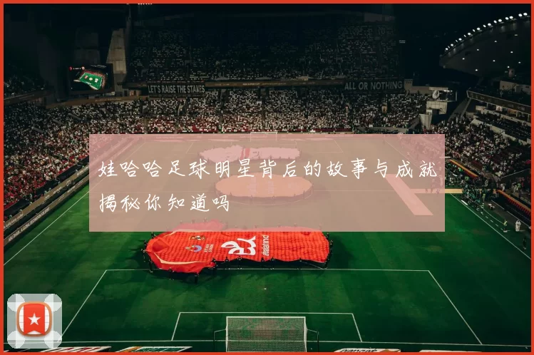 娃哈哈足球明星背后的故事与成就揭秘你知道吗