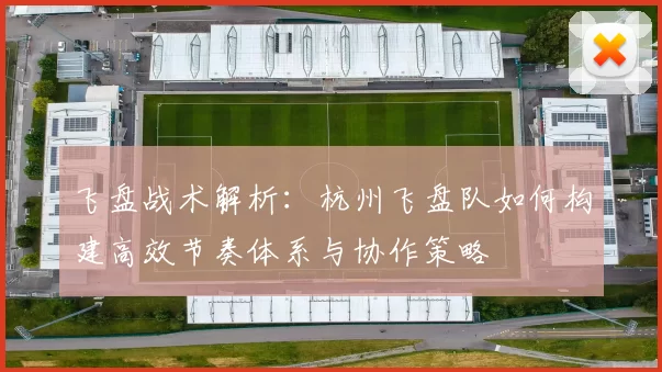 飞盘战术解析：杭州飞盘队如何构建高效节奏体系与协作策略