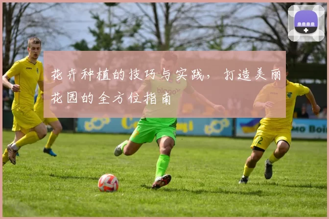 花卉种植的技巧与实践，打造美丽花园的全方位指南
