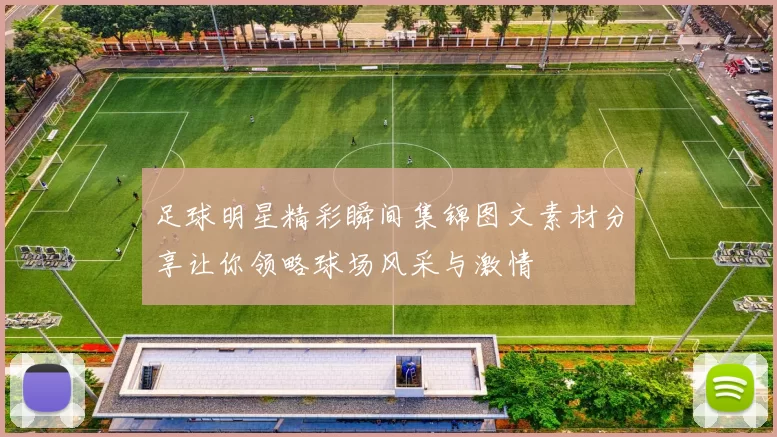 足球明星精彩瞬间集锦图文素材分享让你领略球场风采与激情