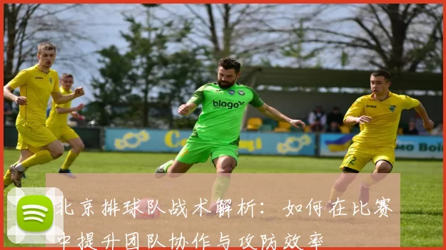 北京排球队战术解析：如何在比赛中提升团队协作与攻防效率