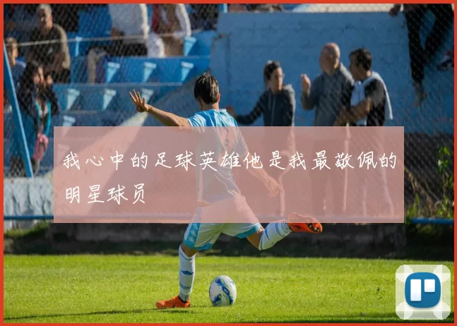 我心中的足球英雄他是我最敬佩的明星球员