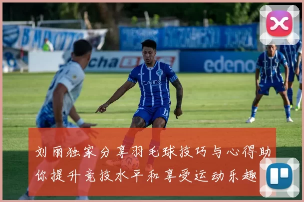 刘丽独家分享羽毛球技巧与心得助你提升竞技水平和享受运动乐趣