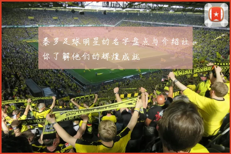 泰罗足球明星的名字盘点与介绍让你了解他们的辉煌成就