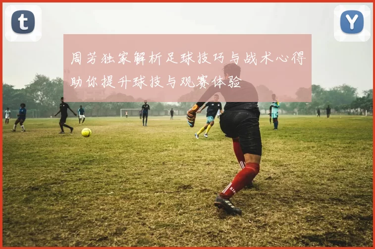 周芳独家解析足球技巧与战术心得助你提升球技与观赛体验