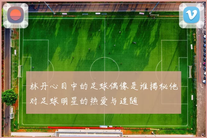 林丹心目中的足球偶像是谁揭秘他对足球明星的热爱与追随