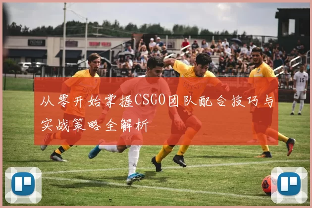 从零开始掌握CSGO团队配合技巧与实战策略全解析