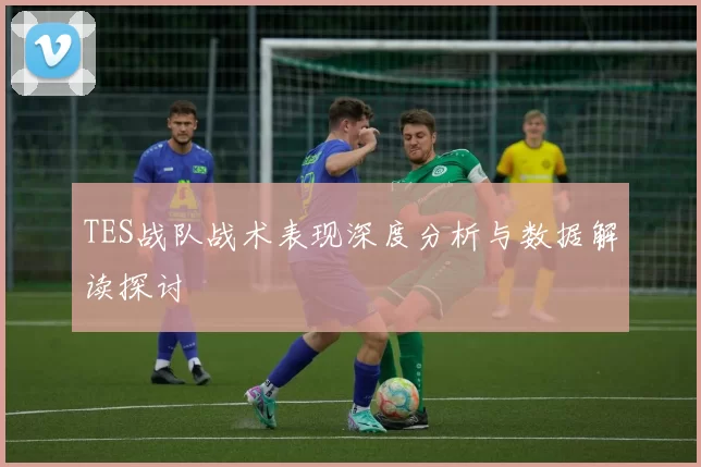 TES战队战术表现深度分析与数据解读探讨