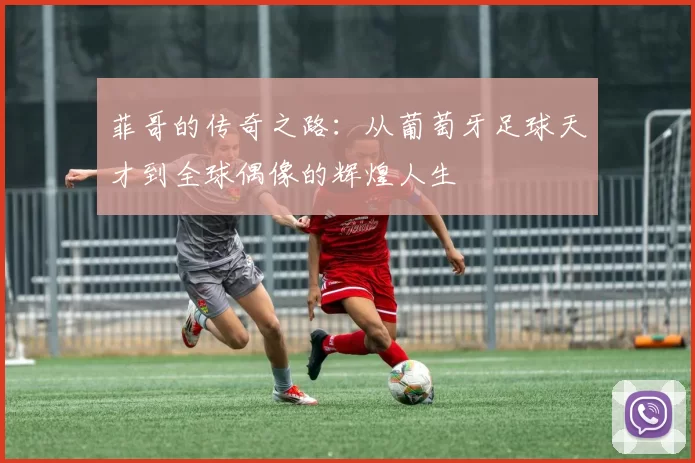 菲哥的传奇之路：从葡萄牙足球天才到全球偶像的辉煌人生